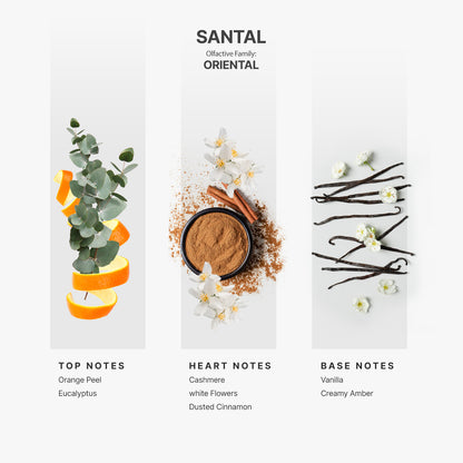 Car Spray AP-023 - Santal - 1 Fl oz (30ml)