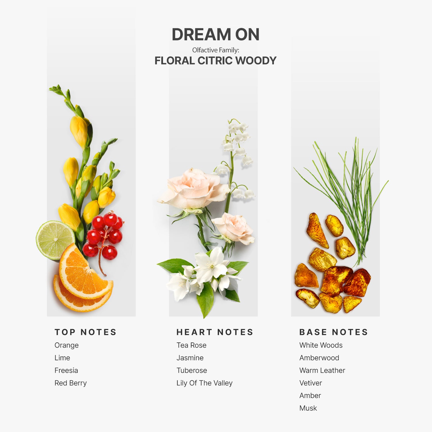 Kit Room &amp; Car Scent AP-044 - Dream On
