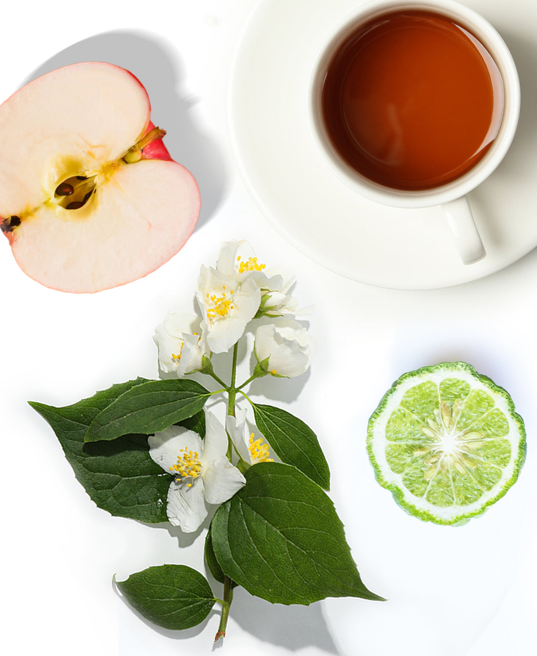 AP059 - White Tea &amp; Fig