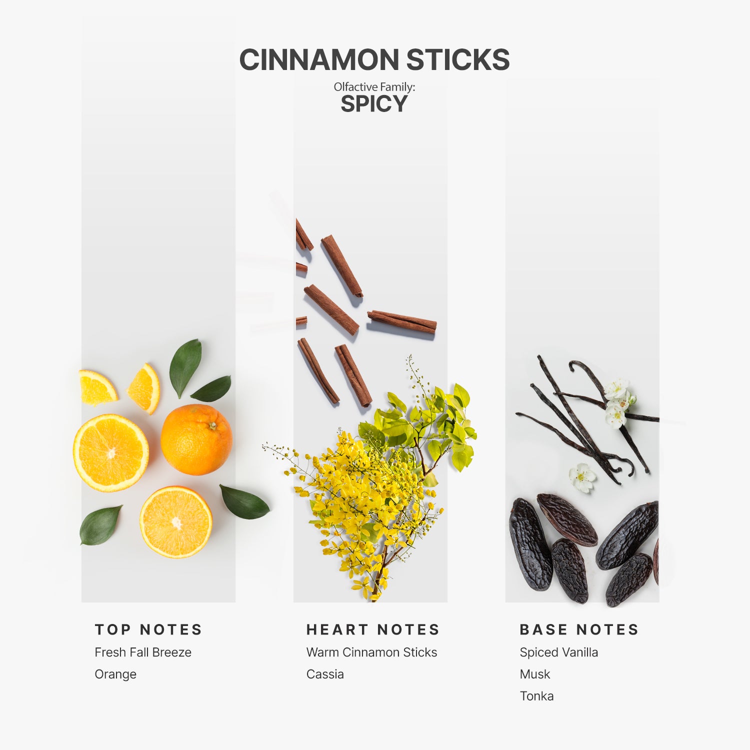 AP098 - Cinnamon Sticks