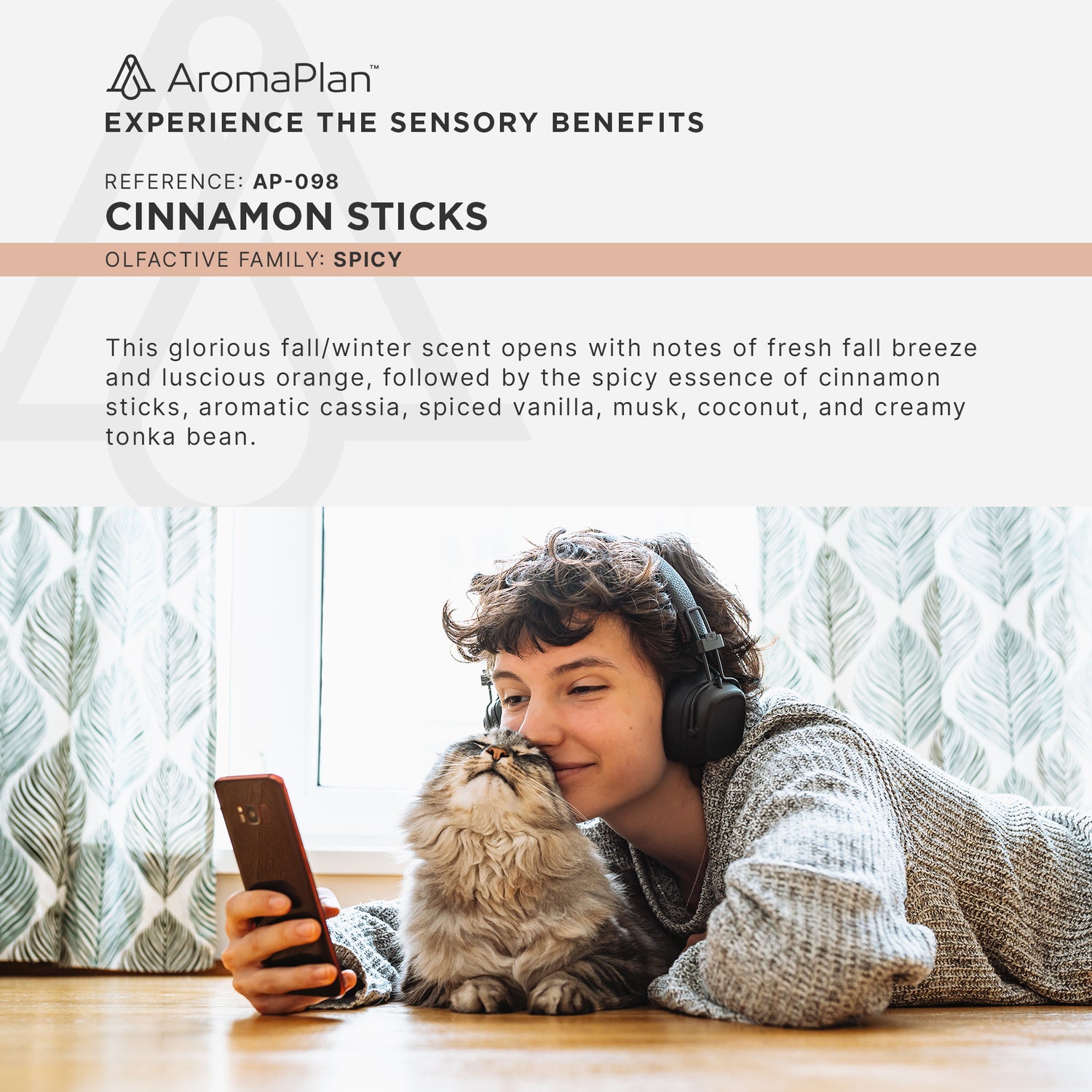 AP098 - Cinnamon Sticks