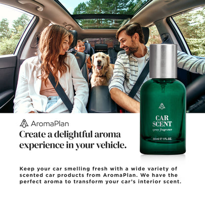 Kit Room &amp; Car Scent AP-027 - Dubai